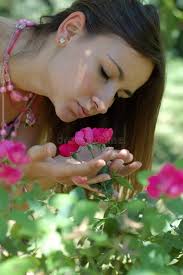Conker stock image. Image of fall, green, view, natural