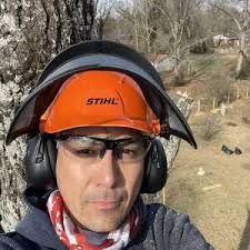 Solutions concrete and tree service LC