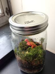 Dinosaur Terrarium In Mason Jar Mason Jars Recycled Jars Jar