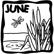 Life Out Here June Clip Art Clip Art Borders Black And White