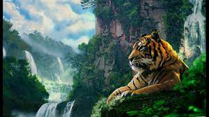 Nature Ambient Music Tranquil Atmospheric Ambience Tiger Wallpaper Animal Wallpaper Pet Tiger