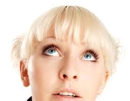 May the joy of the holiday season be with you throughout the coming year