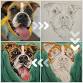 Paint YOUR Pet at Bodega Beer Co event image