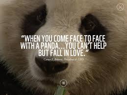 You can to use those 8 images of quotes as a desktop wallpapers. Quotes About Endangered Animals 30 Quotes
