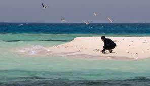 Menceritakan keanekaragaman kehidupan biota di lautan. Foto Pesona Keindahan Perairan Laut Merah Arab Saudi Global Liputan6 Com