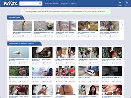 Kaotic & Graphic VideosUncensored Reality Sites Like Kaotic.com