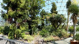 Der botanische garten düsseldorf liegt im süden von düsseldorf am himmelgeister rheinbogen. Bemerkenswelt