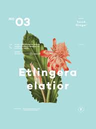 I Like The Feel Of This But Perhaps More Of A Sprout Type Plant Book Design Graphic Poster Editorial Design