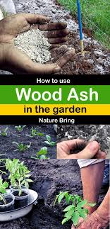 How to apply wood ash to garden. How To Use Wood Ash In The Garden Using Wood Ash
