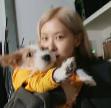 Discover 210 (ROSÈ dog) Hank ❥ and rosé dog ideas