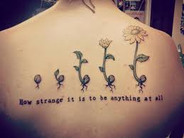 Pin By John Wolfman On Best Quote Tattoos Sunflower Tattoos Sunflower Tattoo Meaning Sunflower Tattoo
