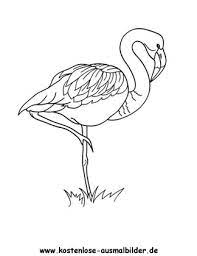 Unsere schablonen sind perfekt für: Ausmalbild Flamingo 1 Zum Ausdrucken