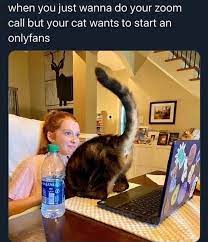 Maybe you would like to learn more about one of these? 48 Funny N Relatable Memes For Anyone To Enjoy Really Funny Memes Crazy Funny Memes Funny Relatable Memes