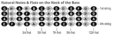 47 Right Bass Neck Notes
