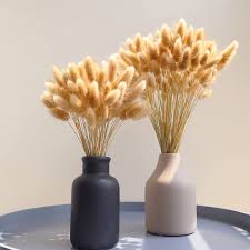 We did not find results for: Buy Birchio 100 Stems Natural Dried Bunny Tail Grass Rabbit Tail Grass Lagurus Ovatus For Home Decor Small Pampas Grass For Boho Decor Wedding Bouquets And Flower Arrangement Natural Online In Turkey