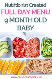 9 months baby food recipes. 16 Baby Food Recipes For 9 Month Old