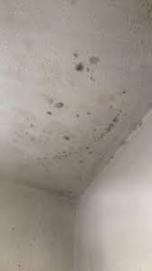 Water spots are caused by leaks or prolonged condensation that collects between the floors of a building. Bathroom Ceiling Spots Come Off Fairly Easy With A Magic Eraser And Some Water Any Way I Can Prevent This From Happening Cleaningtips