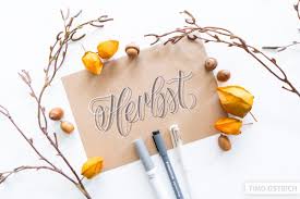 Handlettering Verzierung Techniken Vorlagen Und Tipps Der handlettering generator plus hilft dir dabei, genau die ideen umzusetzen, die du vor deinem.