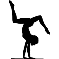 Image result for gymnasticsback handspring