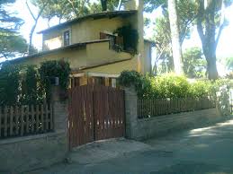 Casa Martini Negli Studi Di Cinecitta A Roma Plants Tree Trunk Tree