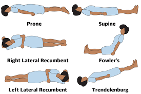 Body restraints are used to safely secure the patient to the operating table. Anatomical Position Definitions And Illustrations