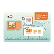 Virtual phone numbers are one of the latest offerings from the technology world. Public Mobile Vancell