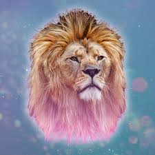 Reveal what astrology has to say about your love potential this week! Leo Weekly Horoscope April 5 11 Astrological Predictions For Love Financial Career And Health Knowinsiders