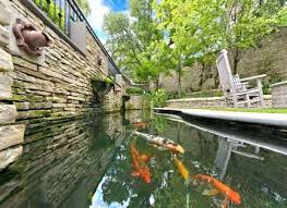 20 Desain Kolam Ikan Di Lahan Sempit Kreatif