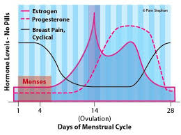 For many women, what can make this symptom particularly the unusual sensation of feeling full is yet another early symptom of pregnancy. Breast Pain And Menstrual Periods