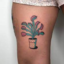 The venus flytrap tattoo studio, based in edinburgh, uk, is home to tattoo artist and studio owner, charlotte, who combines traditional japanese art, manga and art deco to create unusual and attractive geisha tattoos. Venus Fly Trap By Dane Nicklas Tattoogrid Net