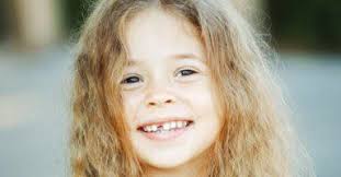 Ihr Petite Suisse Team