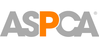 Image result for tbn:ANd9GcT9GTDvoeZslbTfRgc9SbtLfmHl15TvbB2vJ134_7_XnofUBeY3skxFMC8:https://www.doglife.sitew.com/fs/Root/5vdf8-5615663_chien_malade_sur_le_c_t_et_sur_fond_blanc.jpg