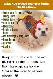 We did not find results for: What Not To Feed Your Pets During The Holidays Turkey Skin Drippings Bruvy Turkey Twine Turkey Bones Corn On The Co Mushrooms Rdisingrapes Sage Fat Trimmings Fatty Foods Bread Dough Chocolate Alcohol Keep