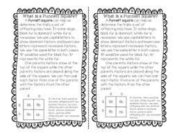 Heredity What Is A Punnet Square By Newport S Notions Tpt