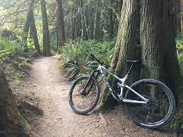 2018 Trek Fuel Ex 8 29 Specs Buy Clothes Shoes Online