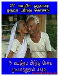 Pin By Rayyan On Love Love Quotes For Wife Love Feeling Images Photo Album Quote