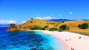 Check spelling or type a new query. Selain Lombok Dan Flores Inilah 10 Pantai Pink Tercantik Di Dunia Versi Cn Traveler Tribun Travel