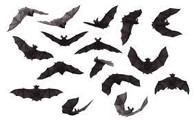 Download Bat Png Images Background Png Free Png Images Bat Art Bat Flying Bat