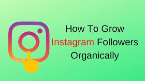 Here are some tips for you to grow instagram followers organically: Growing Instagram Followers Organically Infobuzzadda