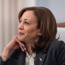 🚨 BREAKING: Kamala Harris leads 2028 presidential Democratic primary by 26  points