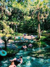 Download this free picture about water park lazy river florida from pixabay's vast library of public domain images and videos. Rock Springs Kelly Park Florida Grilled Cheese Social