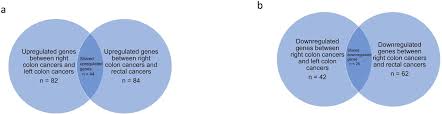 Colorectal polyp counts and cancer in familial adenomatous polyposis. Comparative Proteogenomic Analysis Of Right Sided Colon Cancer Left Sided Colon Cancer And Rectal Cancers Reveal Distinct Mutational Profiles Biorxiv