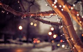 Cute Christmas Lights Wallpapers Top Free Cute Christmas Lights Backgrounds Wallpaperaccess
