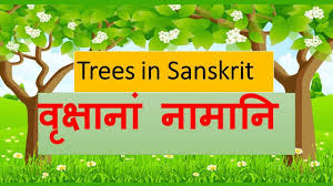 དེན་ཇོནྒ) has been a state in india since 1975. à¤µ à¤• à¤· à¤¨ à¤¨ à¤® à¤¨ Trees In Sanskrit Youtube