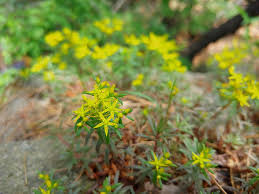 We did not find results for: ê¹€ë¯¼ê·œ Dinzzangkmg Twitter