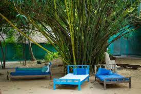 Aluminum garden fencing is among the most economical fencing with these 26 bamboo fencing ideas we'll gladly show you some beautiful examples and possibilities. Black Bamboo Garden Ideas 8