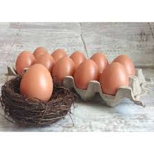 Sementara, telur ayam ras atau telur ayam ternak lebih sering digunakan dalam masakan, termasuk dibanding telur bebek dan telur puyuh. Telur Palsu Artificial Egg Property Foto Mainan Anak Telur Ayam Terbaru Agustus 2021 Harga Murah Kualitas Terjamin Blibli
