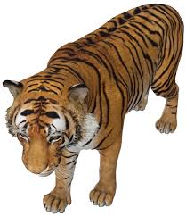 Google 3d Animals Ar Objects Full List Gallery Android Central