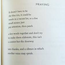 Tim Ferriss On Twitter A Short And Beautiful Poem From Mary Oliver Not Everything Important Shouts For Attentio Https T Co Cr270ryxwp