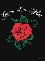 With over a million images, you'll find a stunning photo that will complement any text. Pin On Latino Latina Shirts